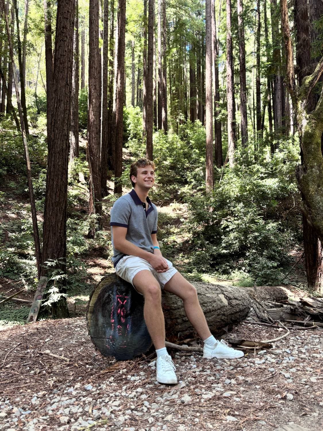 Luke in the redwoods